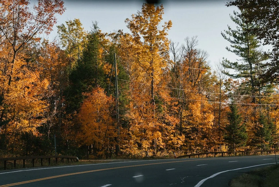 Unforgettable Road Trips from Sault Ste Marie: Exploring the Scenic Surroundings